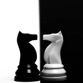 Chess horse wallpaper