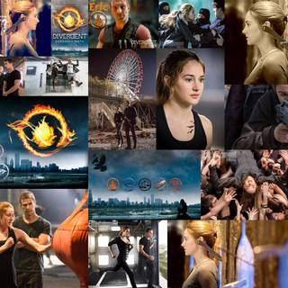 Movies collection wallpaper