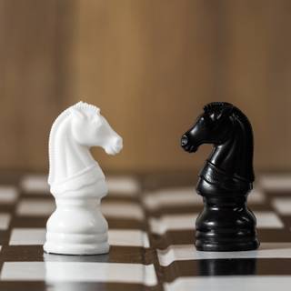 Chess horse wallpaper
