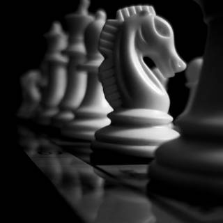 Chess horse wallpaper