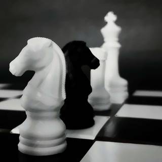 Chess horse wallpaper