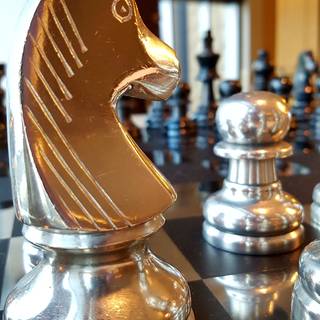 Chess horse wallpaper