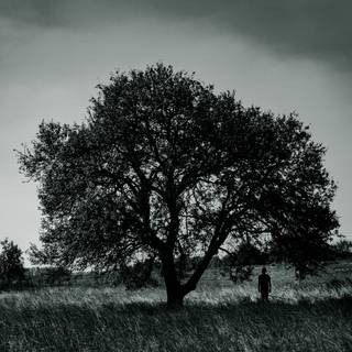 Depressed mobile wallpaper