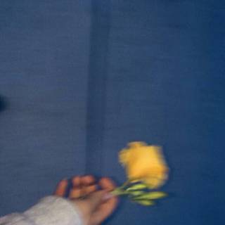 Depressed mobile wallpaper