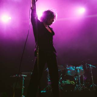 The Struts wallpaper