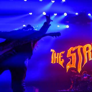 The Struts wallpaper