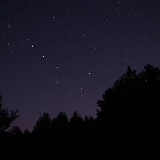 Ursa Major wallpaper