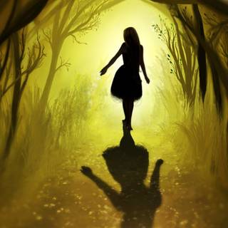 Shadow art wallpaper