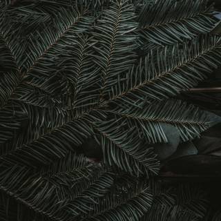 Cool iPhone 8 wallpaper