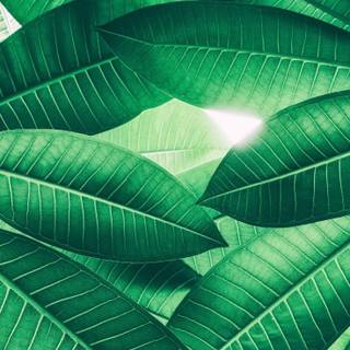 Cool iPhone 8 wallpaper