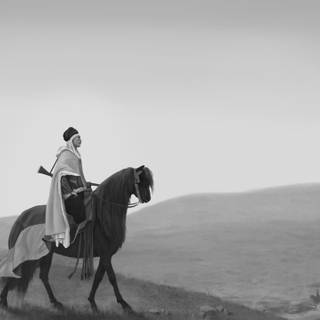 Arabian Knight wallpaper