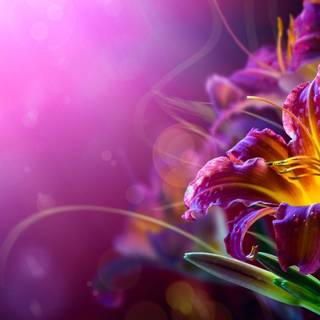 Flower desktop 4k wallpaper