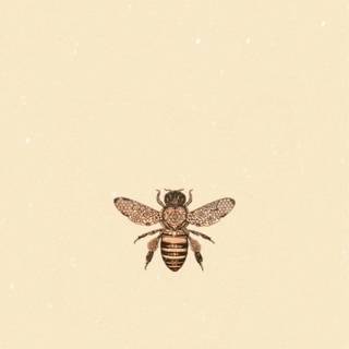 Bee summer wallpaper