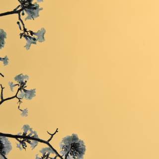 Bee summer wallpaper