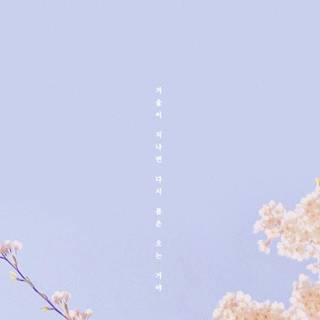 Spring day phone wallpaper