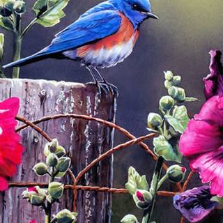 Spring animals iPhone wallpaper