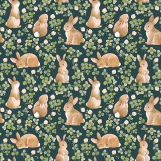Spring animals iPhone wallpaper