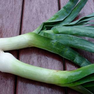 Leek wallpaper