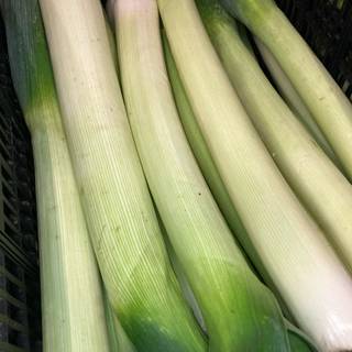 Leek wallpaper
