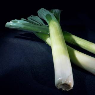 Leek wallpaper