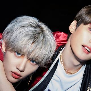 Felix computer wallpaper