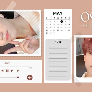 Felix computer wallpaper