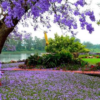 Spring 1080x1920 wallpaper