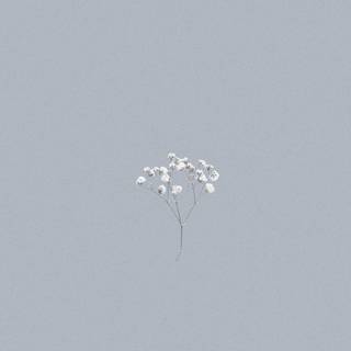 Spring basic wallpaper