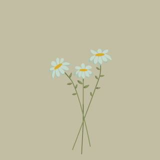 Spring basic wallpaper