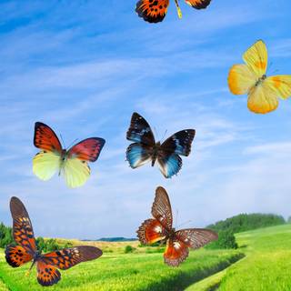 Spring 1080x1920 wallpaper