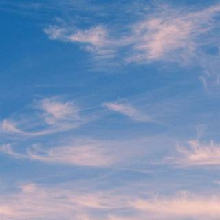 iPhone 13 Mini summer wallpaper