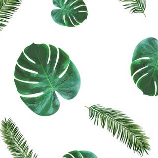 iPhone 13 Mini summer wallpaper