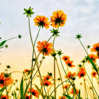 Spring 3840x2160 wallpaper