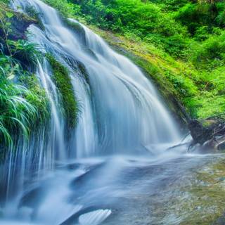 Spring 8k mobile wallpaper