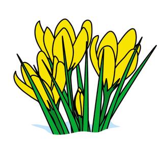 Springtime cartoon flower wallpaper