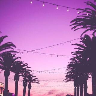 Purple aesthetic summer wallpaper
