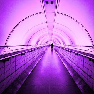 Purple aesthetic summer wallpaper