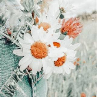 Spring cute aesthetic wallpaper