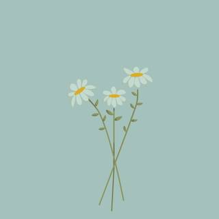 Aesthetic spring phone wallpaper