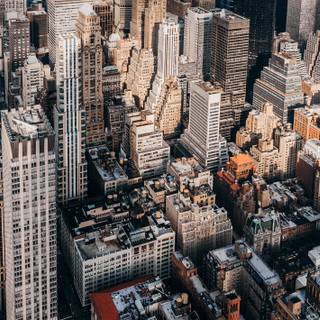 New York 2024 wallpaper