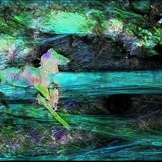 Neurobiology wallpaper