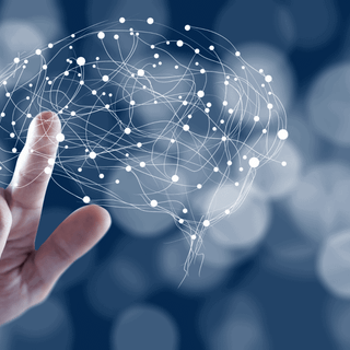 Neurobiology wallpaper