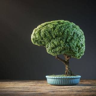 Neurobiology wallpaper