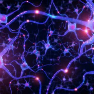 Neurobiology wallpaper
