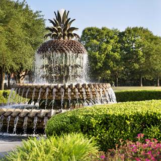 Charleston SC wallpaper