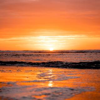 Charleston SC wallpaper