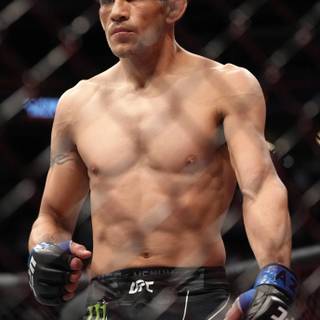 Tony Ferguson UFC wallpaper