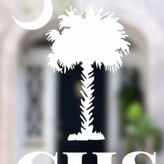 South Carolina iPhone wallpaper