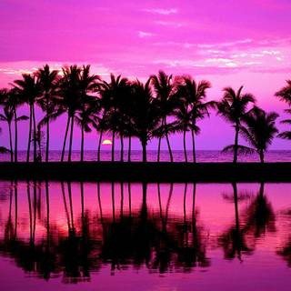 80s sunset wallpaper