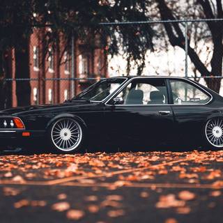 Bagged cars wallpaper